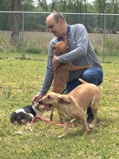 Volunteer with dogs at Tri County Animal Shelter